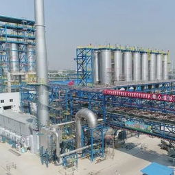 追夢綠色化工 揚子石化