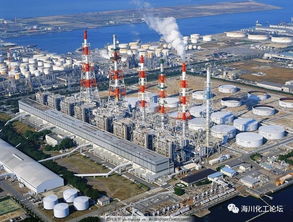 離開化工8年,我還想回來干化工